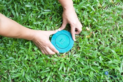 Tìm hiểu về hệ thống trạm nhử Mối và cách hoạt động hiệu quả
