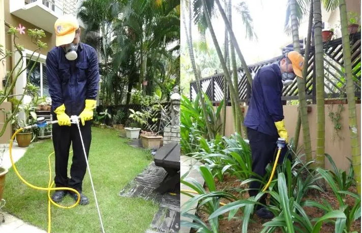 xử lý đất sau khi xây dựng