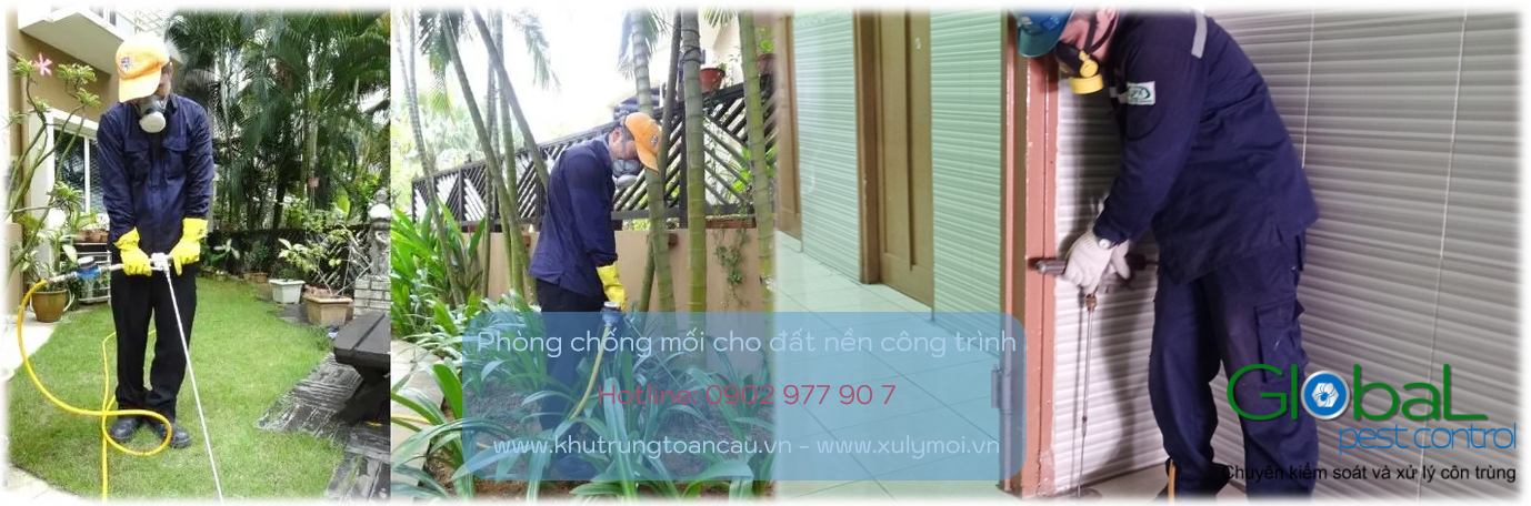 phòng chống mối đất nền công trình