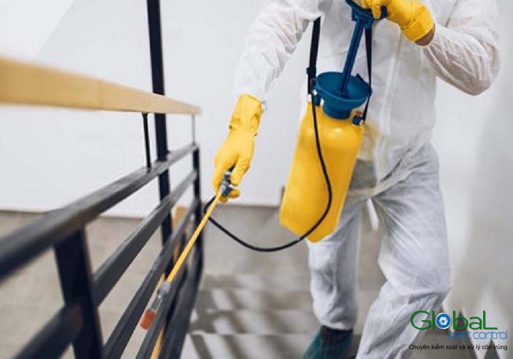 Dịch vụ diệt mối tận gốc
